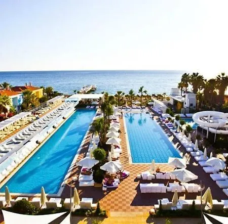 Q Premium 4*