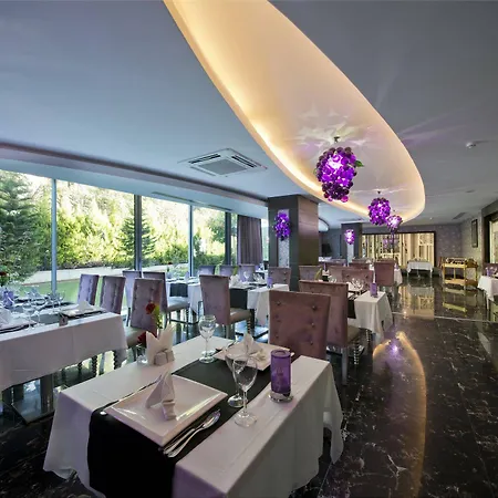Q Premium Hotel